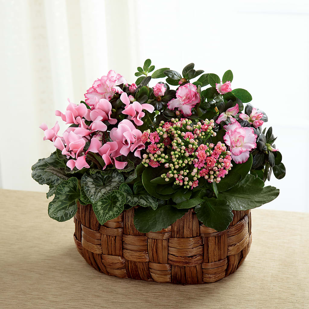 Pink Assortment – Our Flower Shop, Gibsonton FL