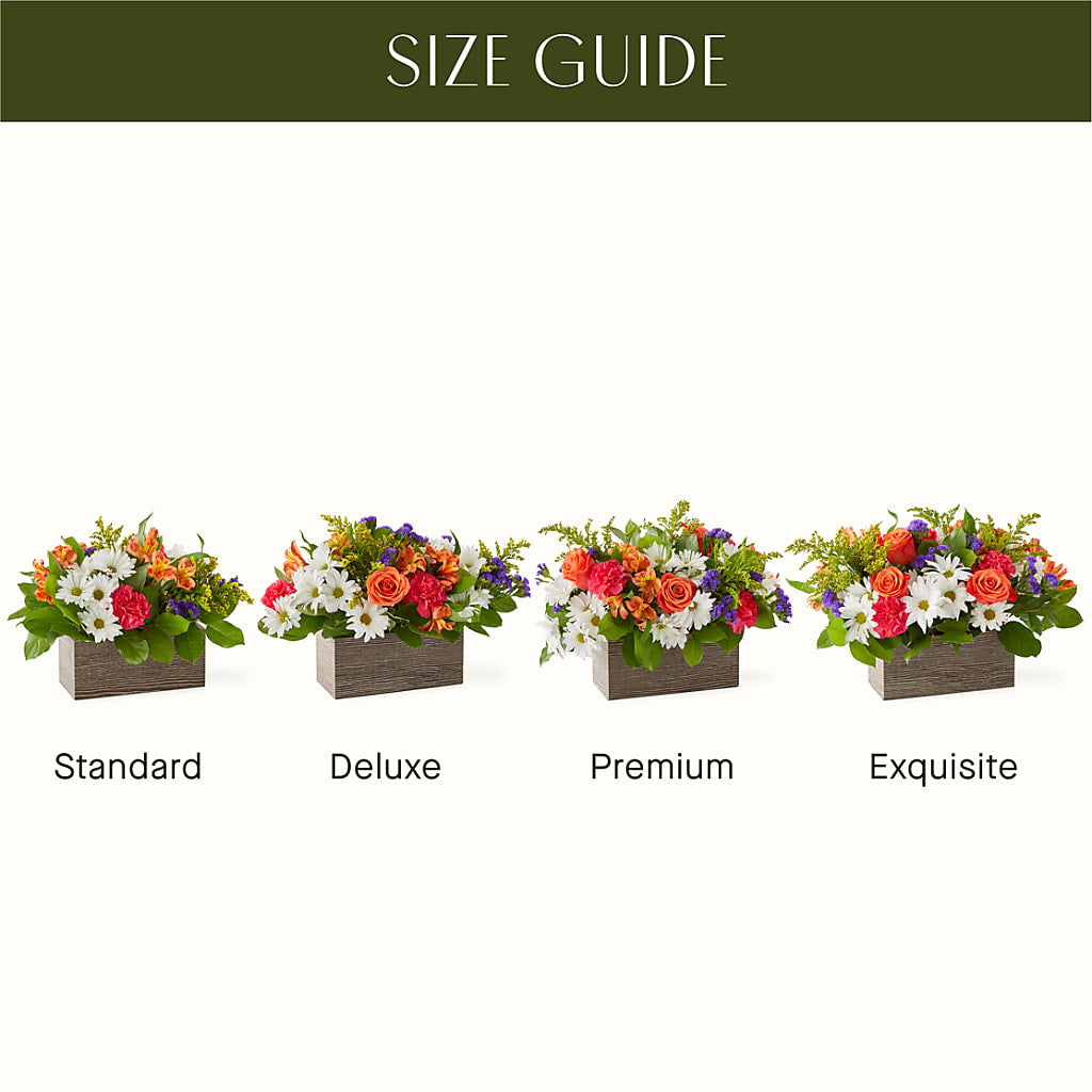 Oopsie Daisy Box Bouquet – Our Flower Shop, Gibsonton FL