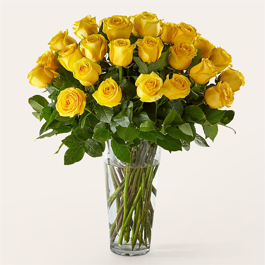 Long Stem Yellow Rose Bouquet – Our Flower Shop, Gibsonton FL