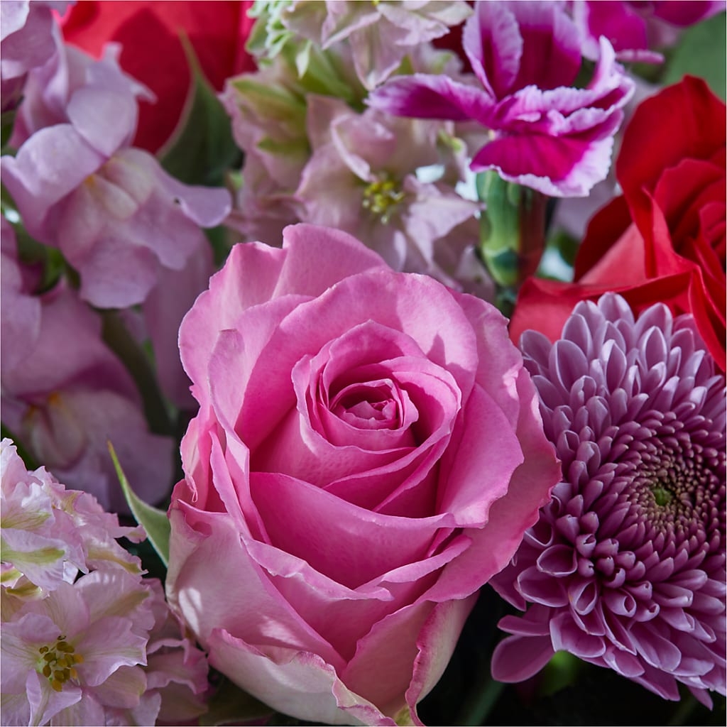Better Together - A Luxury Florist Original – Our Flower Shop, Gibsonton FL
