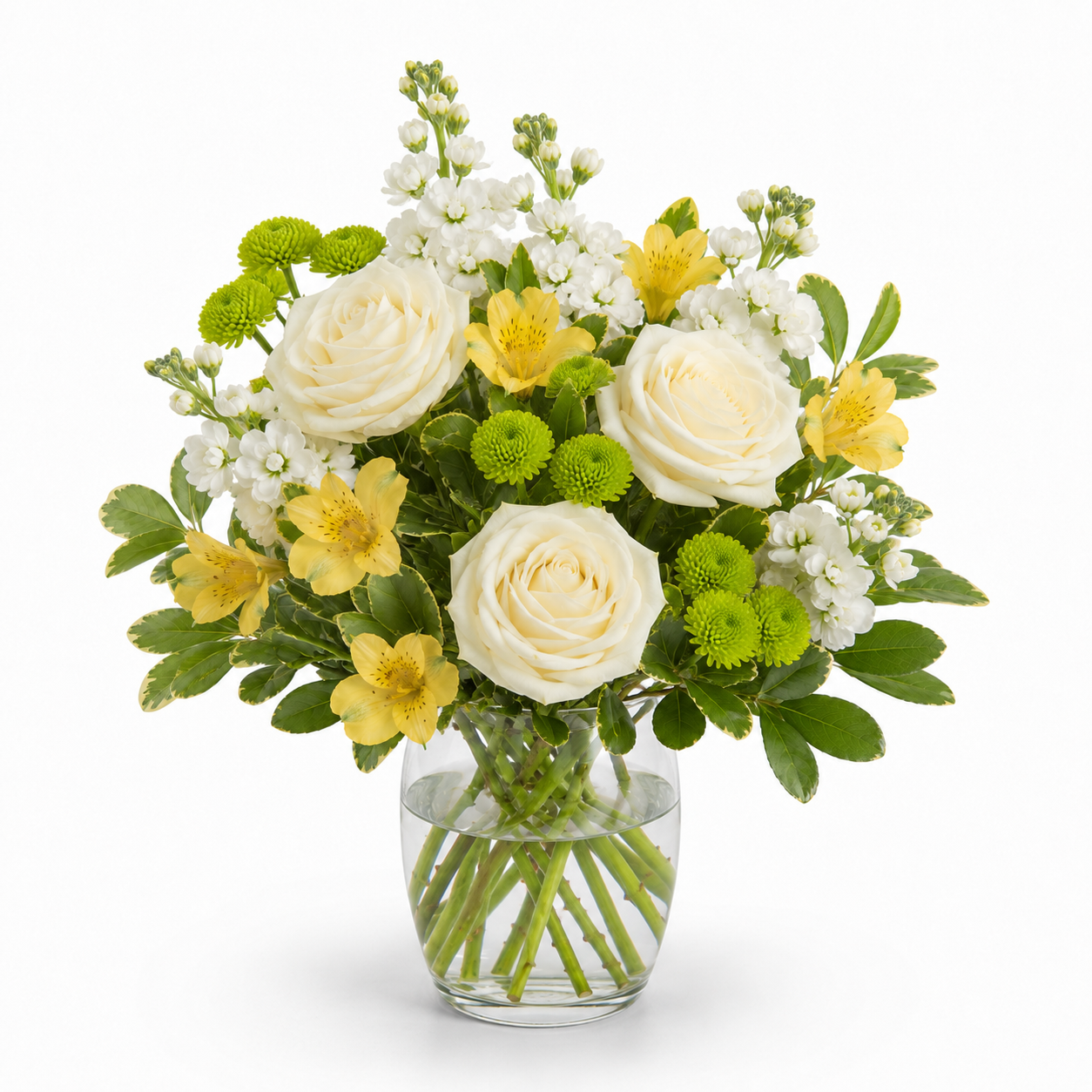 Ivory Citrus Grace – Our Flower Shop, Gibsonton FL