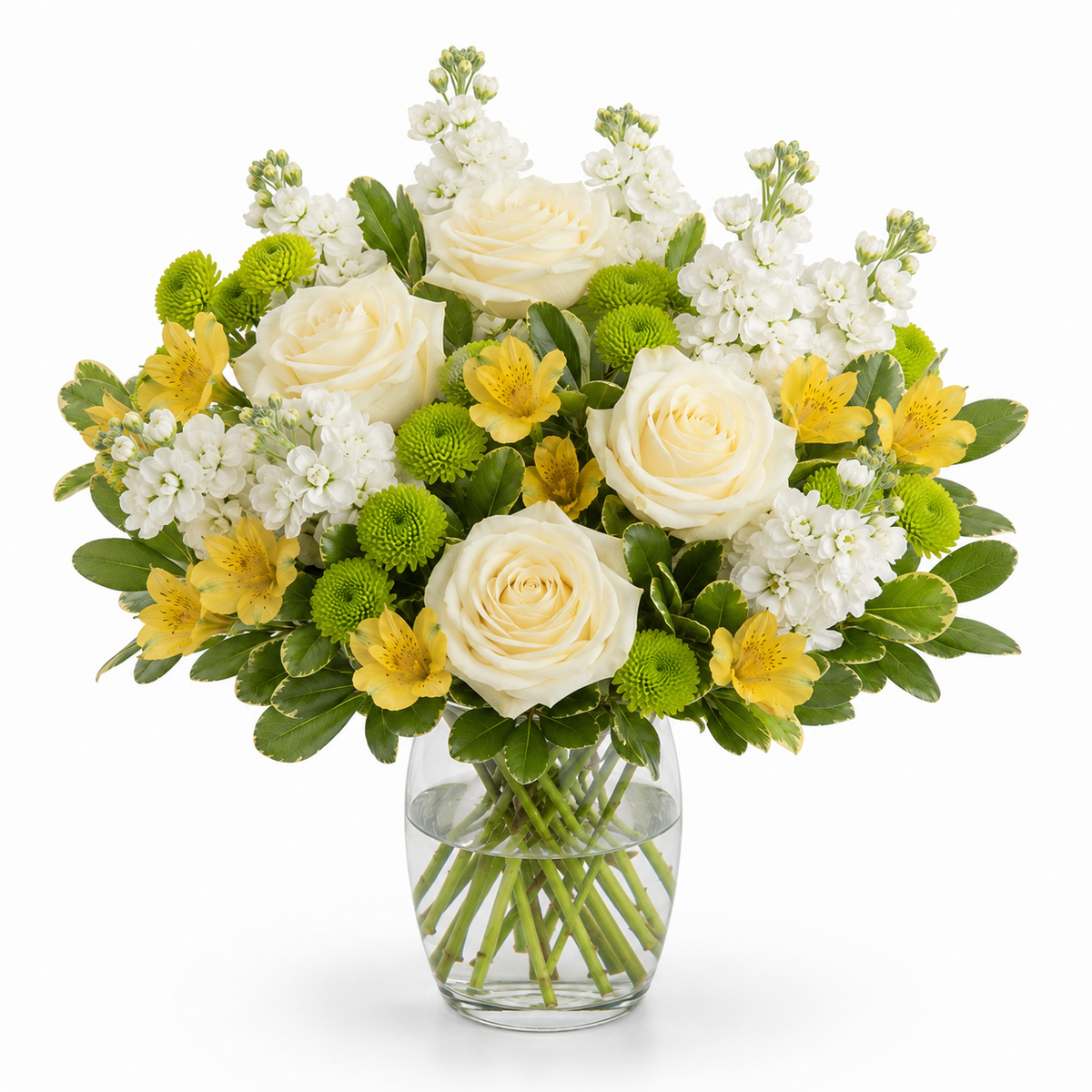 Ivory Citrus Grace – Our Flower Shop, Gibsonton FL
