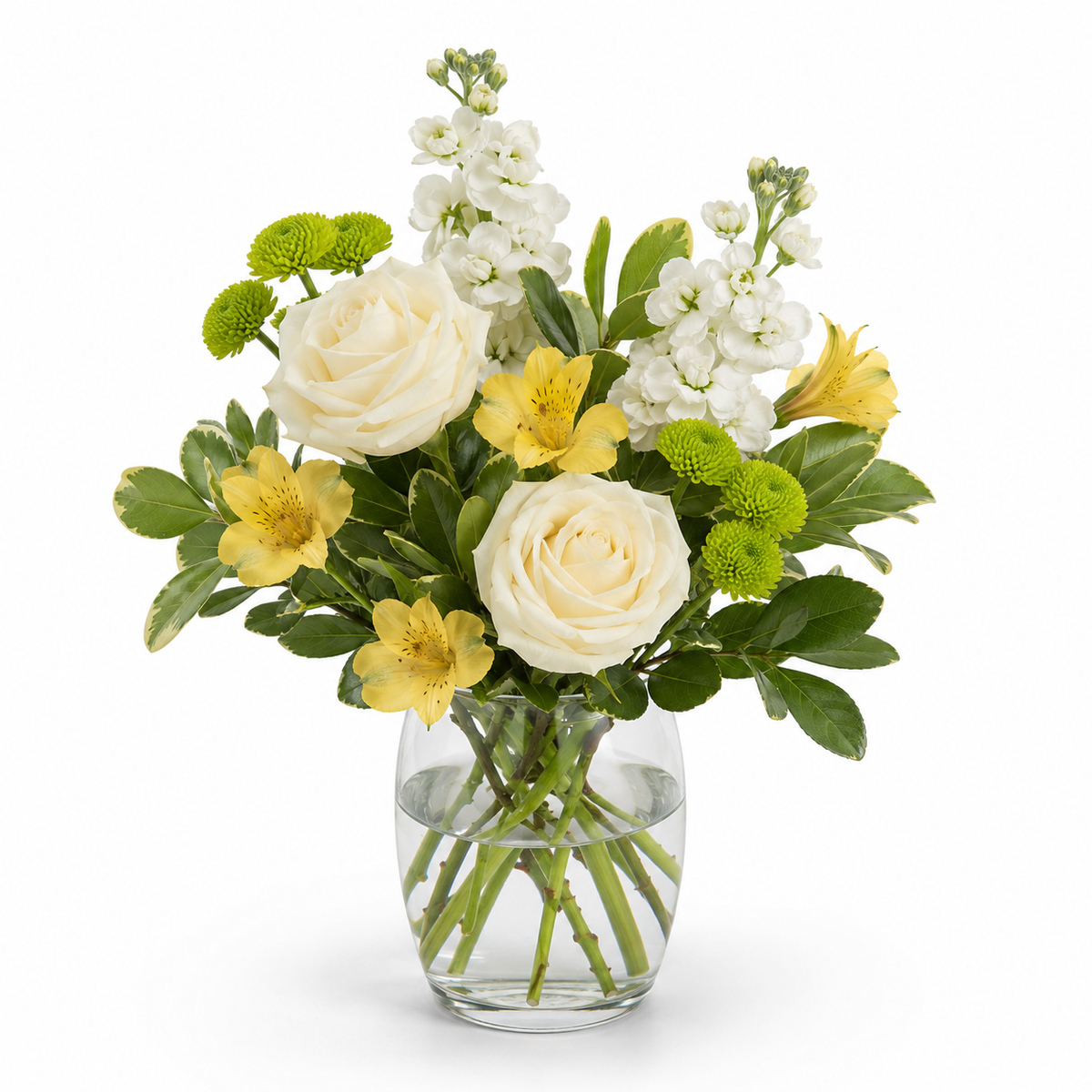 Ivory Citrus Grace – Our Flower Shop, Gibsonton FL