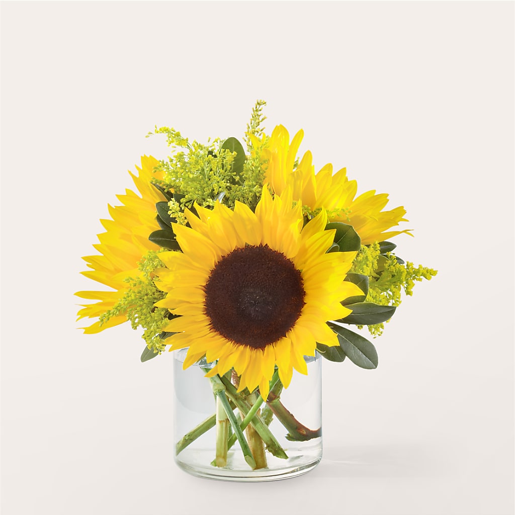 Beaming Sunflower Bouquet – Our Flower Shop, Gibsonton FL