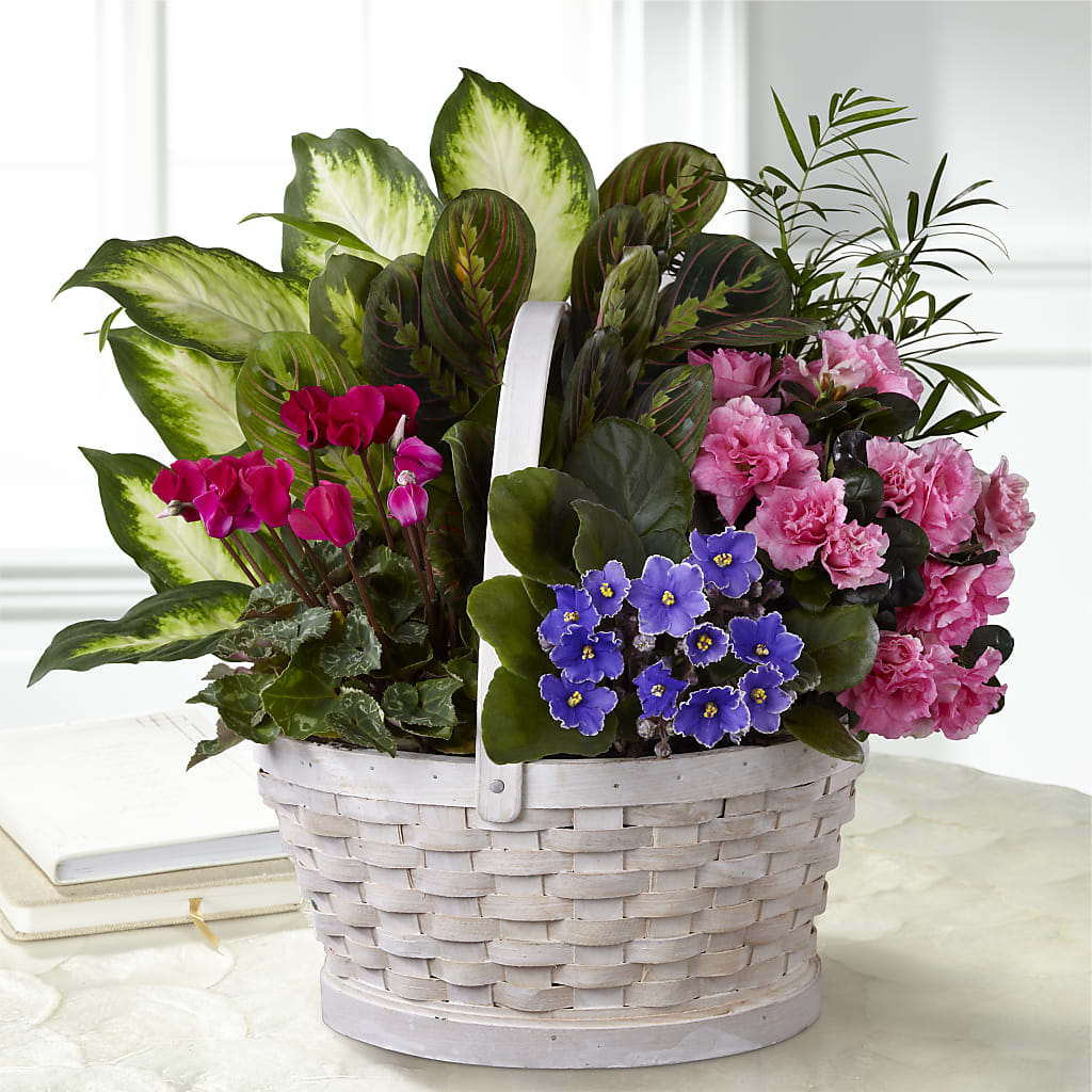 Peaceful Garden Planter – Our Flower Shop, Gibsonton FL
