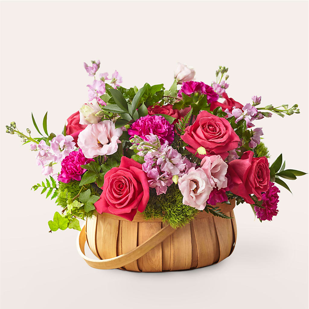 Radiance in Bloom Basket – Our Flower Shop, Gibsonton FL