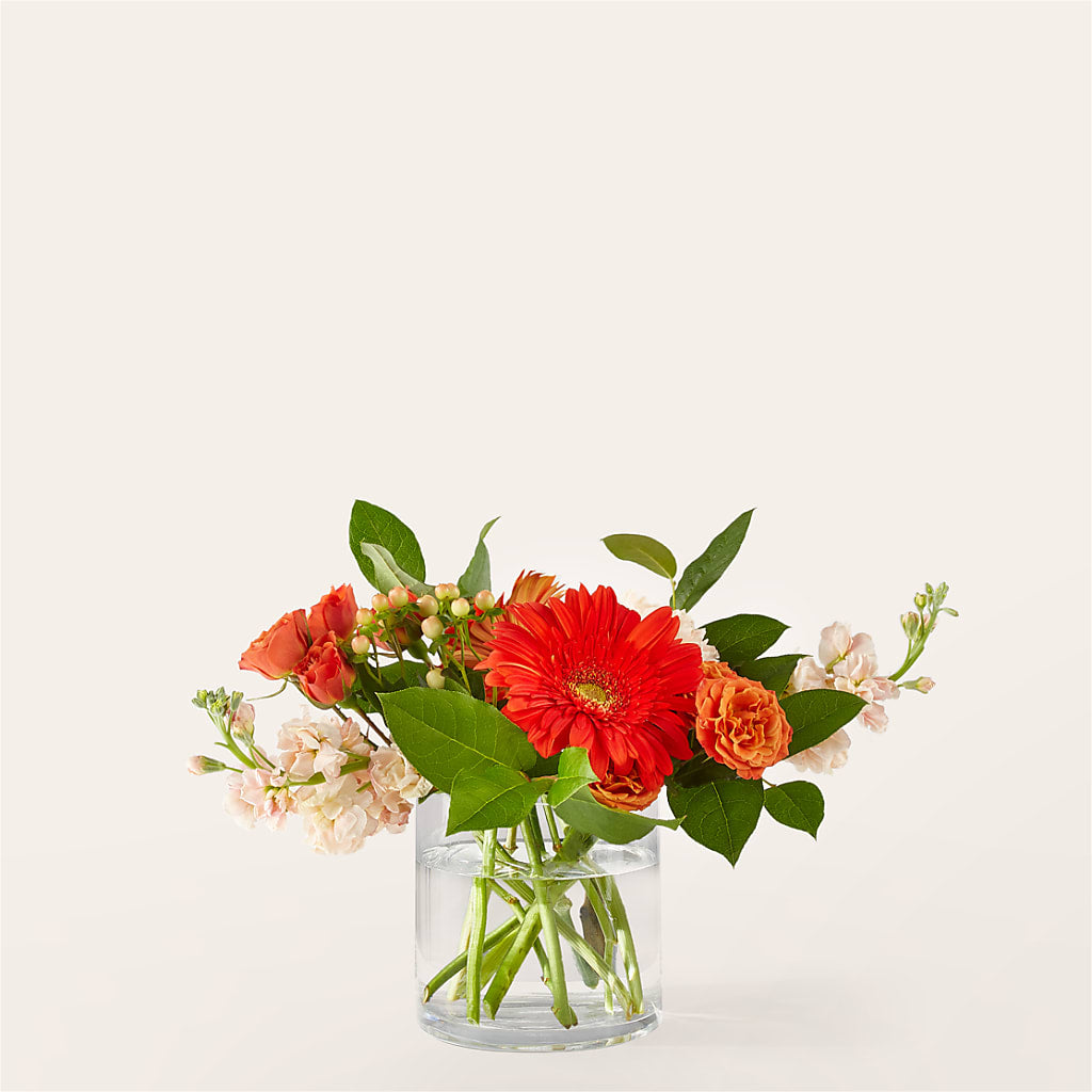 Paloma Please Bouquet – Our Flower Shop, Gibsonton FL