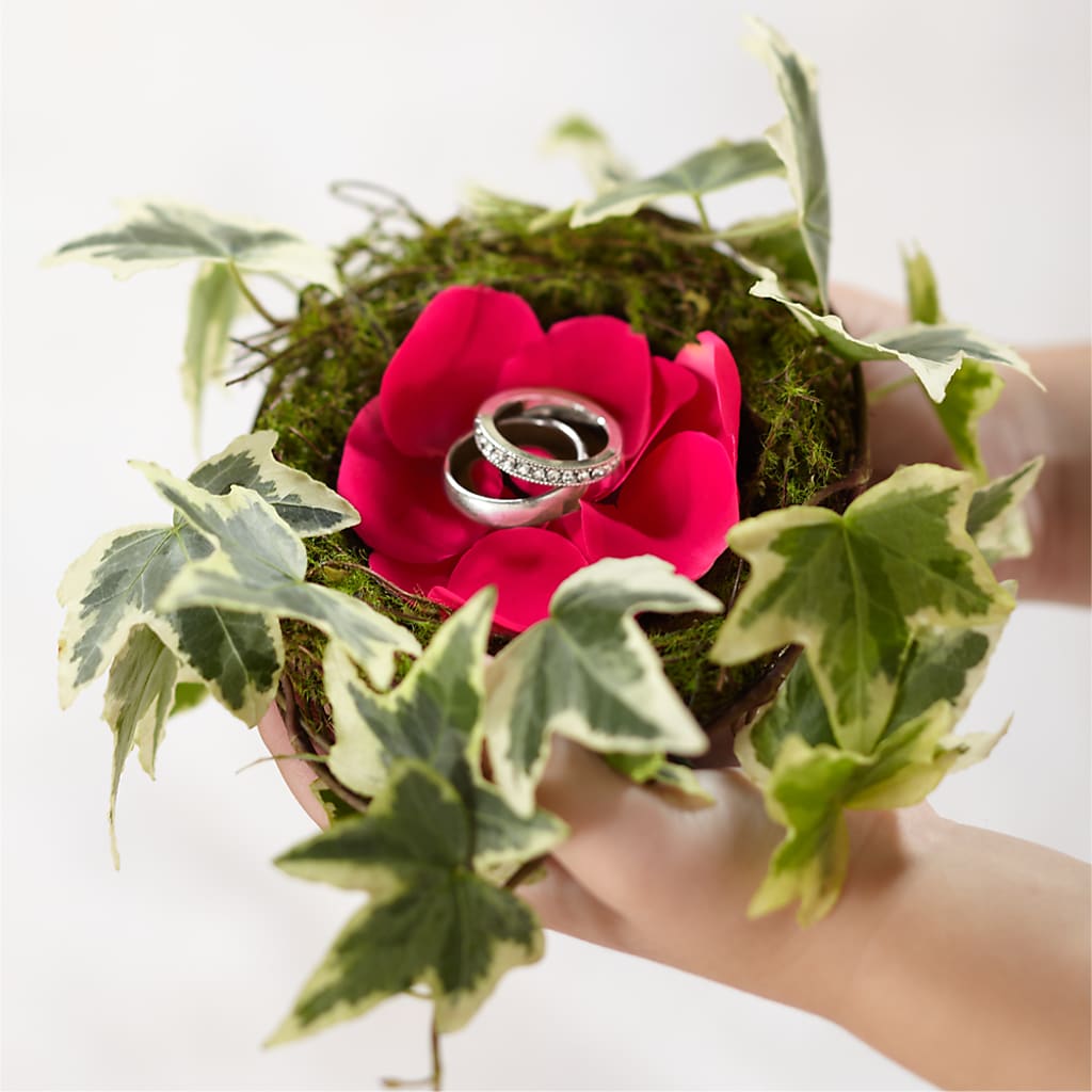 Lila Rose Ring Nest – Our Flower Shop, Gibsonton FL