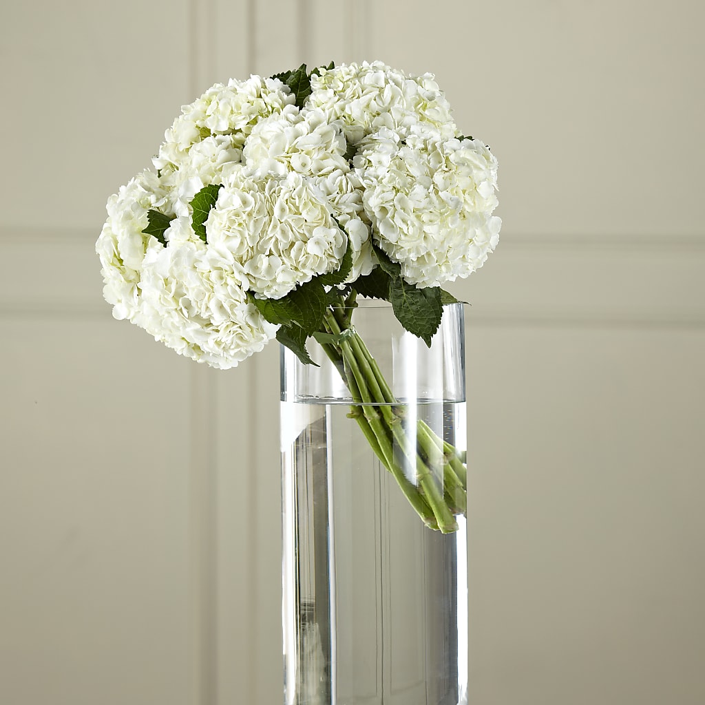 White Hydrangea Hand-Tied Bouquet – Our Flower Shop, Gibsonton FL