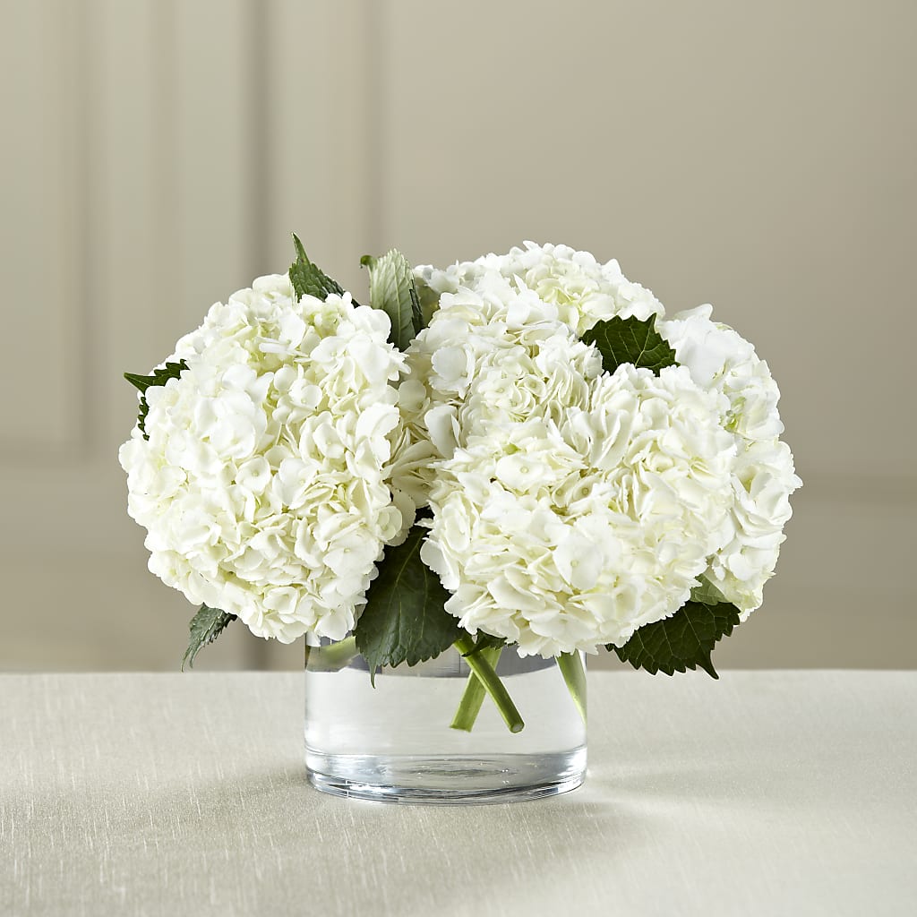 White Hydrangea Bouquet – Our Flower Shop, Gibsonton FL