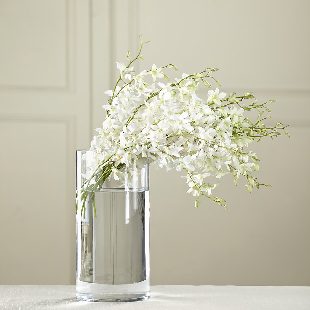 White Dendrobium Bouquet – Our Flower Shop, Gibsonton FL