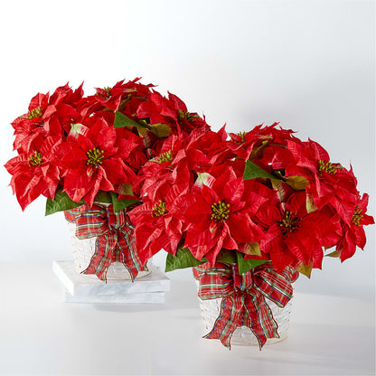 Happiest Holidays Poinsettia Bundle –  Our Flower Shop, Gibsonton FL