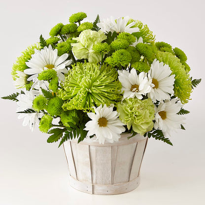 Lucky Charm Basket (Standard) –  Our Flower Shop, Gibsonton FL
