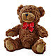 Adorable Plush Bear –  Our Flower Shop, Gibsonton FL