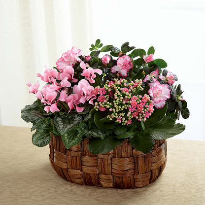 Pink Assortment –  Our Flower Shop, Gibsonton FL