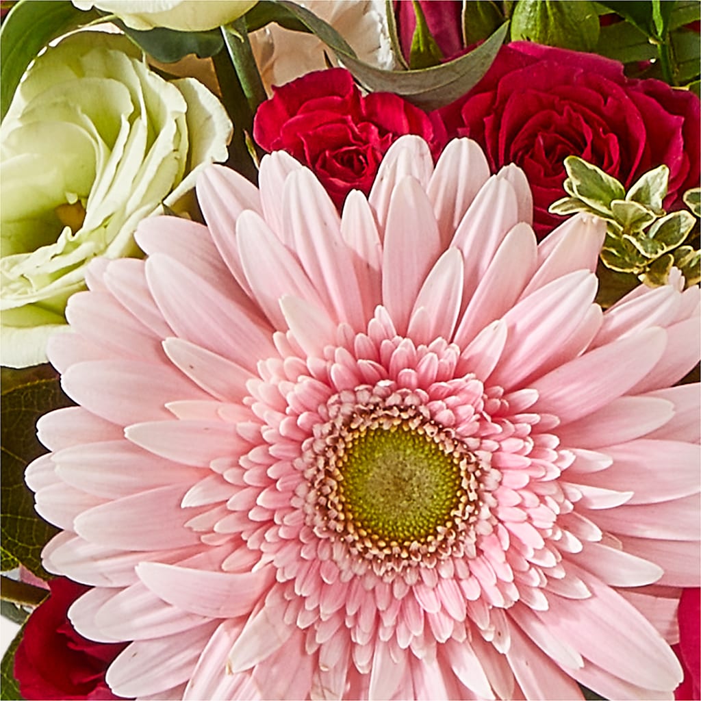 Too Cute Bouquet –  Our Flower Shop, Gibsonton FL