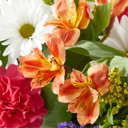 Oopsie Daisy Box Bouquet –  Our Flower Shop, Gibsonton FL
