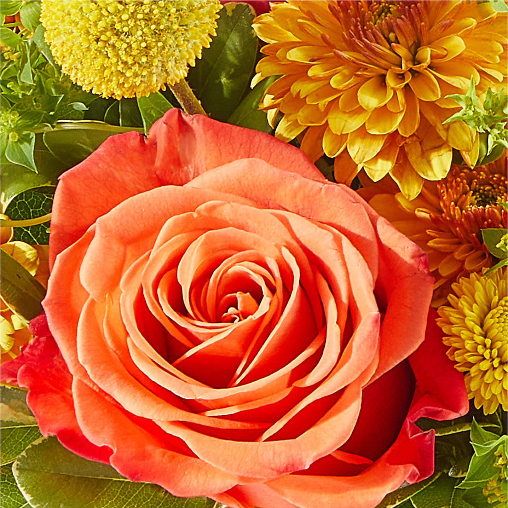 Gourdgeous Pumpkin –  Our Flower Shop, Gibsonton FL
