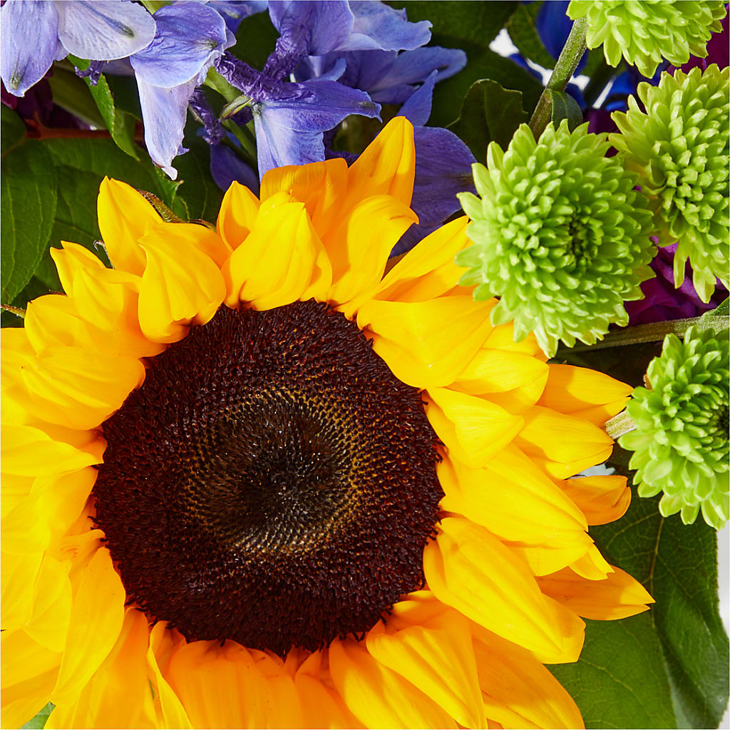 Catching Rays Bouquet –  Our Flower Shop, Gibsonton FL