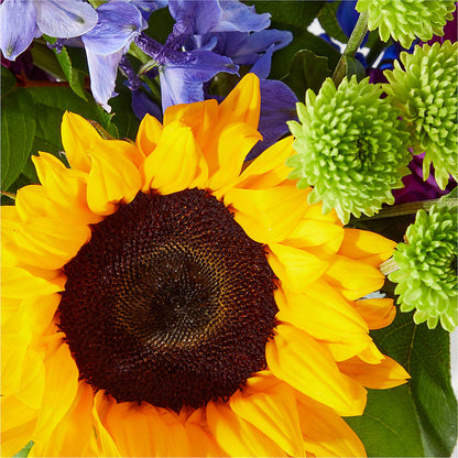 Catching Rays Bouquet –  Our Flower Shop, Gibsonton FL