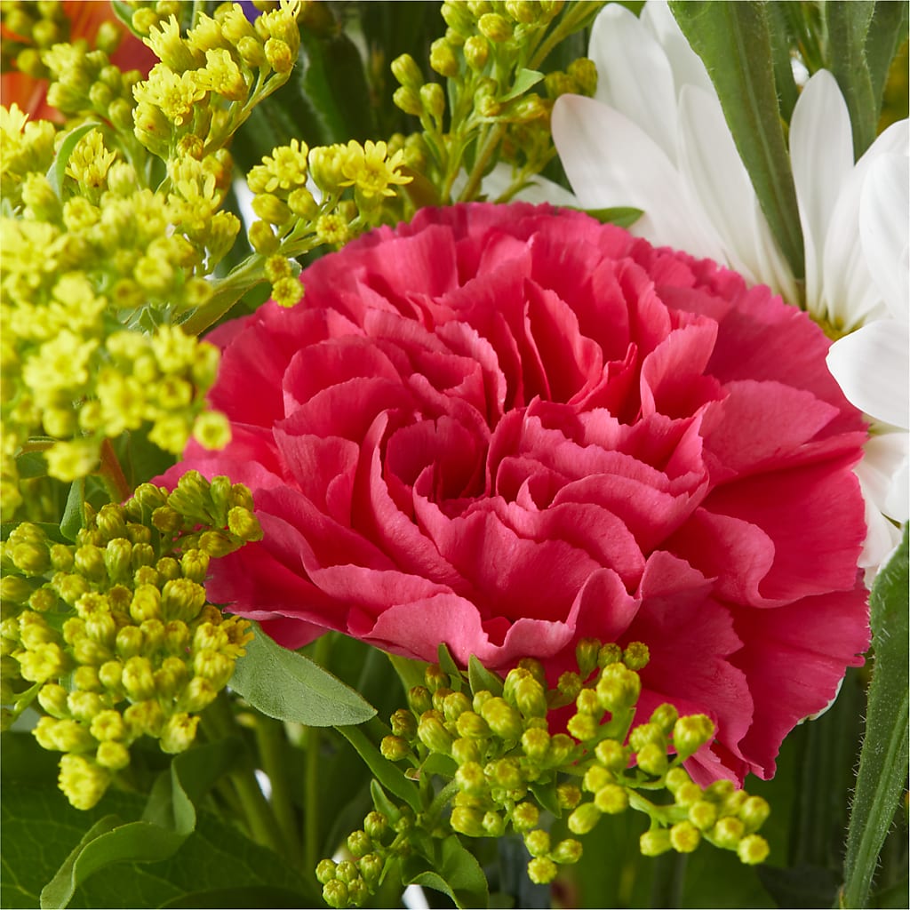 Oopsie Daisy Bouquet –  Our Flower Shop, Gibsonton FL