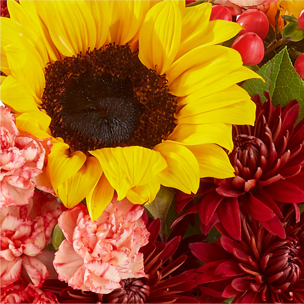 Fresh Cider Bouquet –  Our Flower Shop, Gibsonton FL