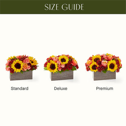 Fresh Cider Bouquet –  Our Flower Shop, Gibsonton FL