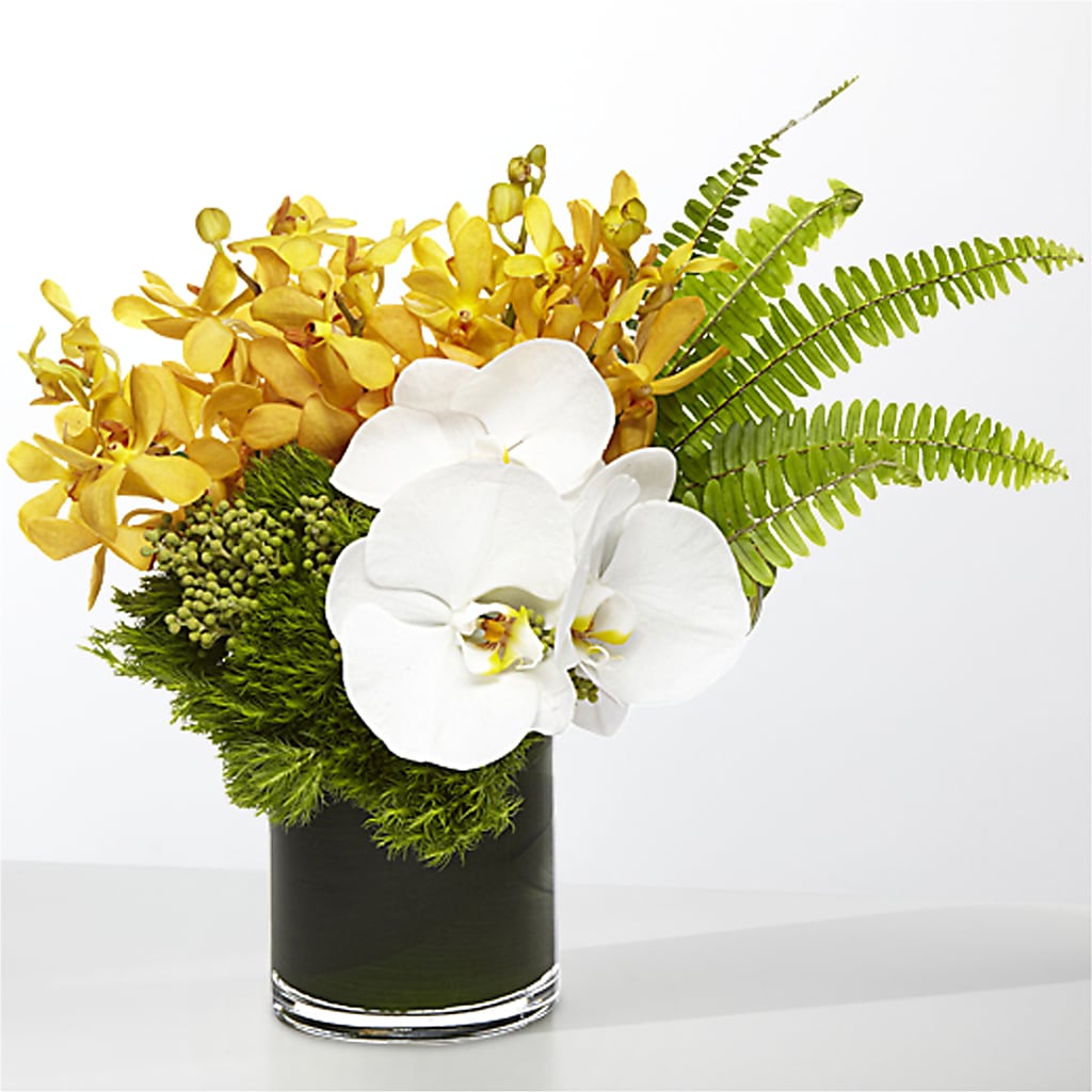 The Tropics –  Our Flower Shop, Gibsonton FL