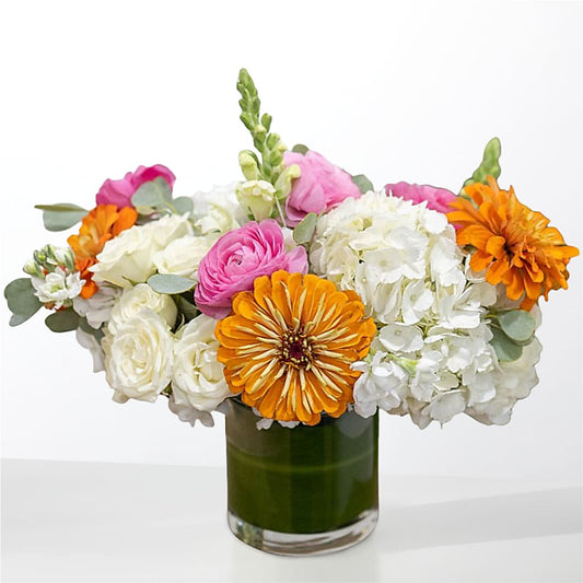 The Meet Cute –  Our Flower Shop, Gibsonton FL