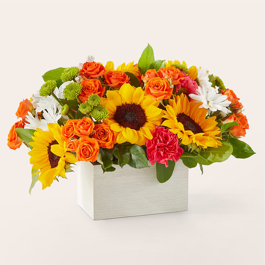 Sun-drenched Blooms Box Bouquet –  Our Flower Shop, Gibsonton FL