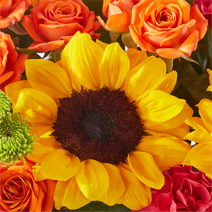 Sun-drenched Blooms Box Bouquet –  Our Flower Shop, Gibsonton FL