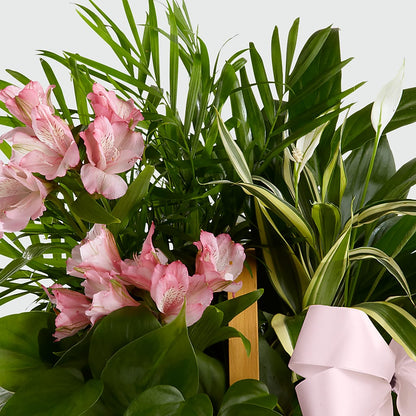 Living Spirit Dishgarden –  Our Flower Shop, Gibsonton FL