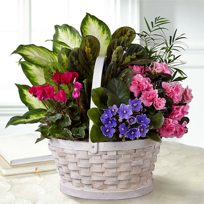 Peaceful Garden Planter –  Our Flower Shop, Gibsonton FL