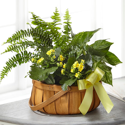 Always Dear Dishgarden –  Our Flower Shop, Gibsonton FL