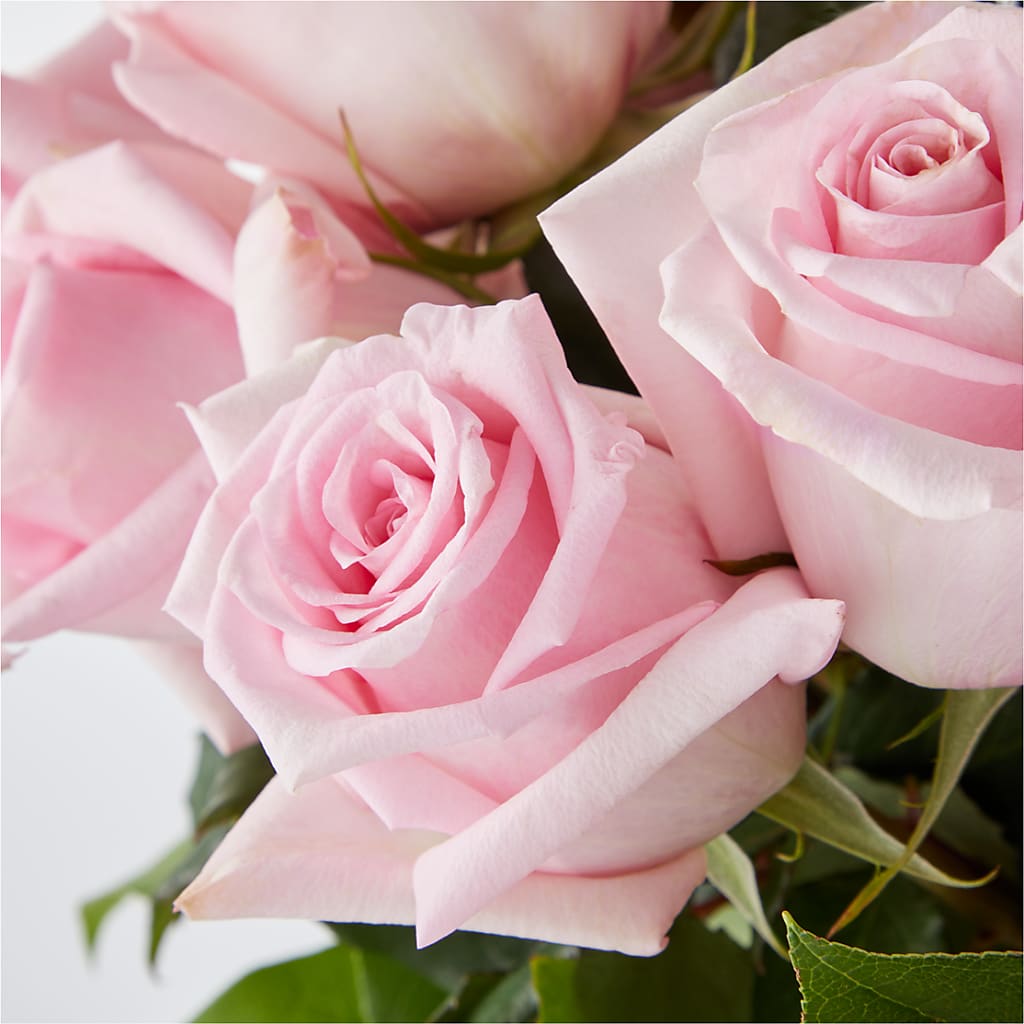 Picture Perfect Pink Rose Bouquet –  Our Flower Shop, Gibsonton FL