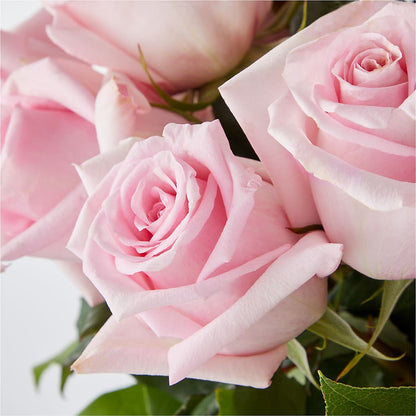 Picture Perfect Pink Rose Bouquet –  Our Flower Shop, Gibsonton FL