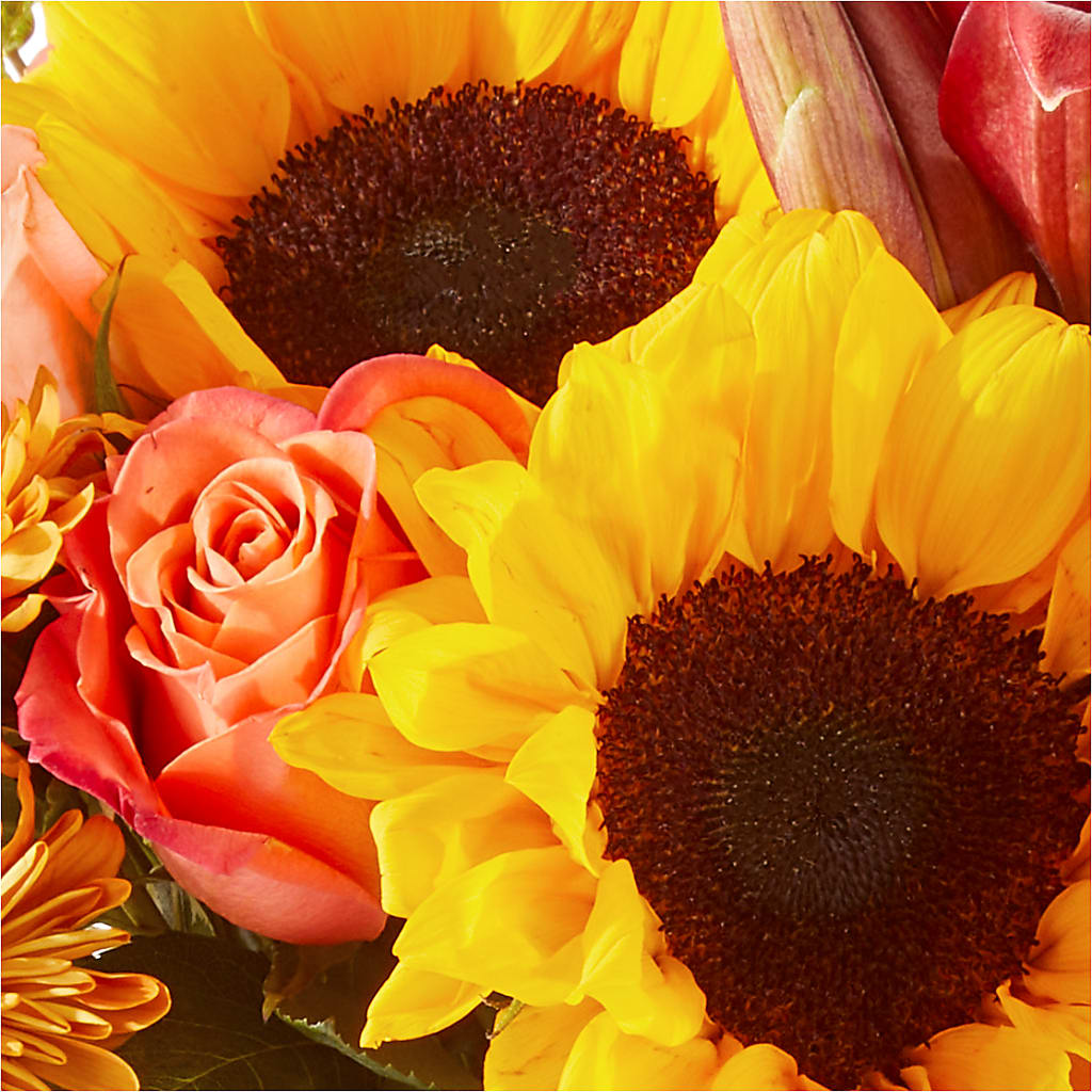 Acorn Lane Bouquet –  Our Flower Shop, Gibsonton FL
