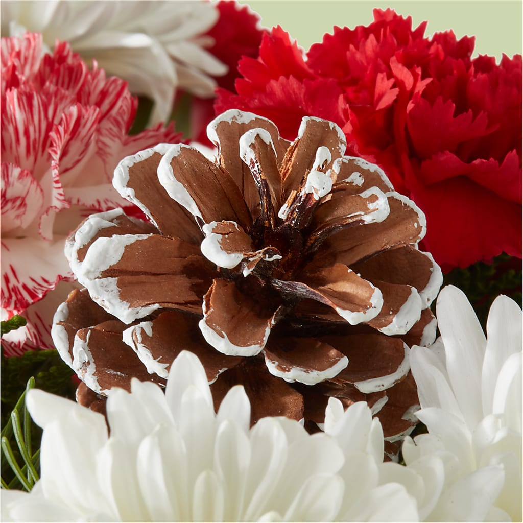 Candy Cane Lane Bouquet –  Our Flower Shop, Gibsonton FL