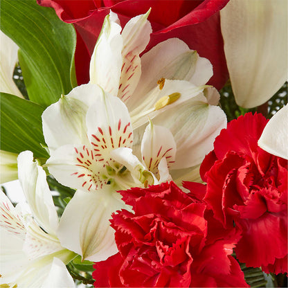 Holiday Season Bouquet –  Our Flower Shop, Gibsonton FL