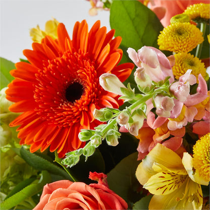Autumn Sunshine Bouquet –  Our Flower Shop, Gibsonton FL