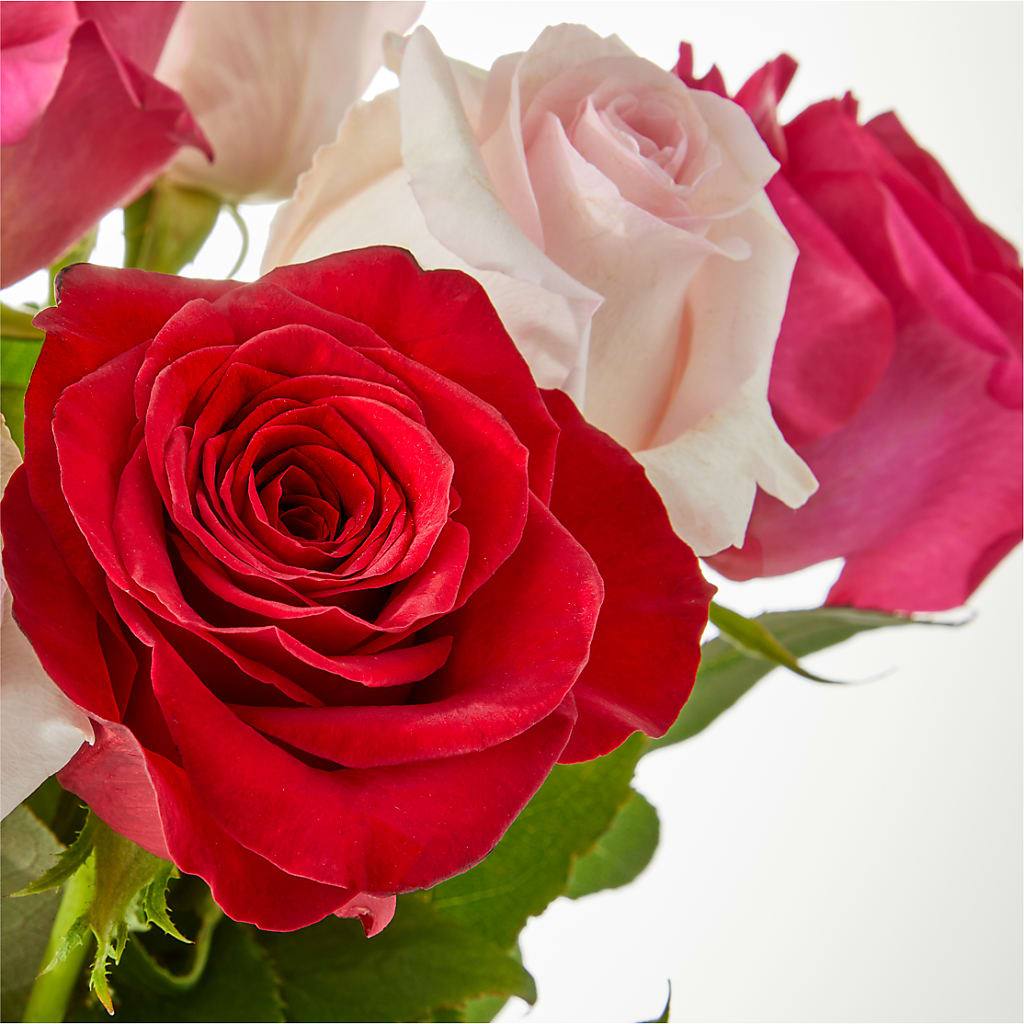 Charming Rose Bouquet –  Our Flower Shop, Gibsonton FL