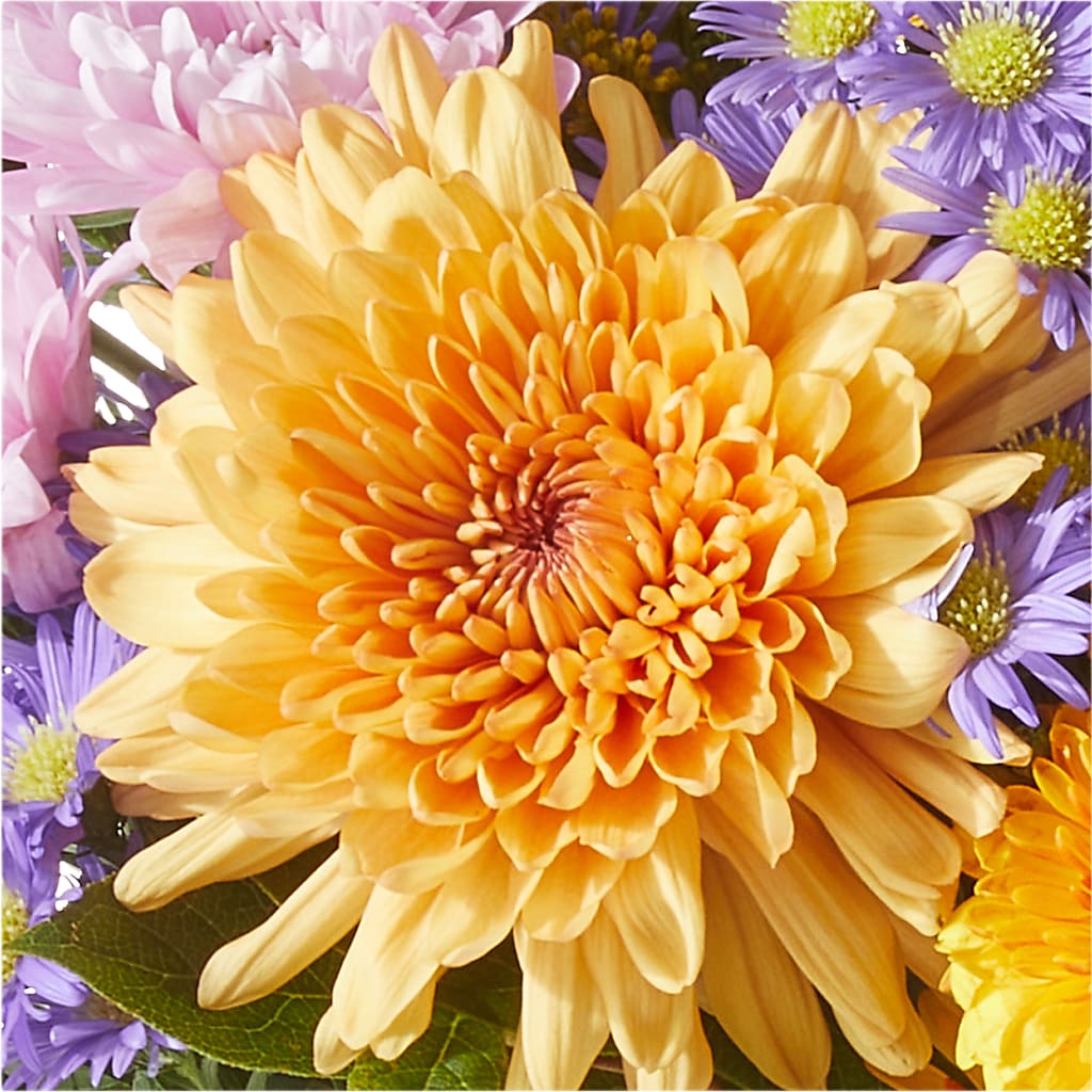 Countryside Bouquet –  Our Flower Shop, Gibsonton FL