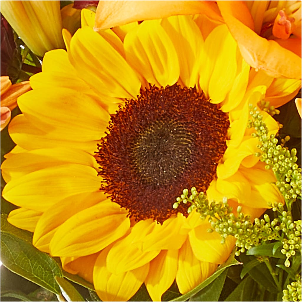 Seasons Change Bouquet –  Our Flower Shop, Gibsonton FL