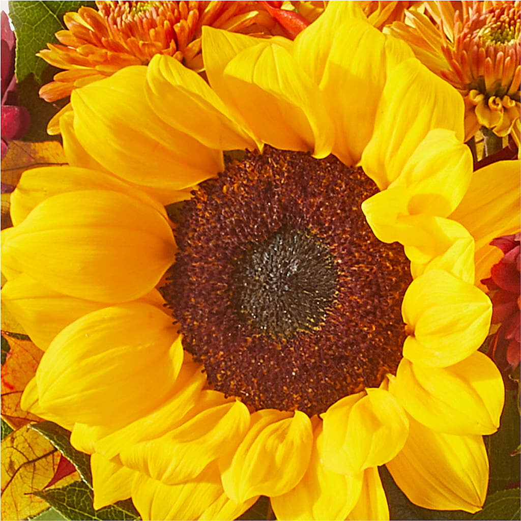 Sunny Side Bouquet –  Our Flower Shop, Gibsonton FL