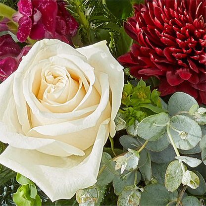Cranberry Fizz Bouquet –  Our Flower Shop, Gibsonton FL