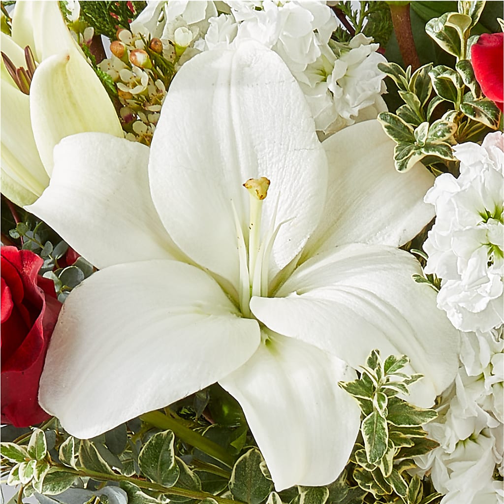 Twinkle Lights Bouquet –  Our Flower Shop, Gibsonton FL