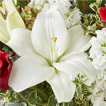 Twinkle Lights Bouquet –  Our Flower Shop, Gibsonton FL