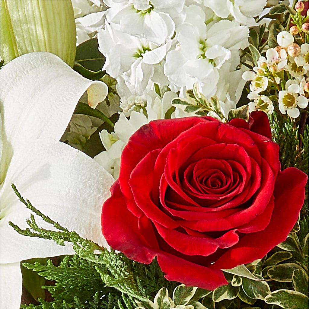 Twinkle Lights Bouquet –  Our Flower Shop, Gibsonton FL