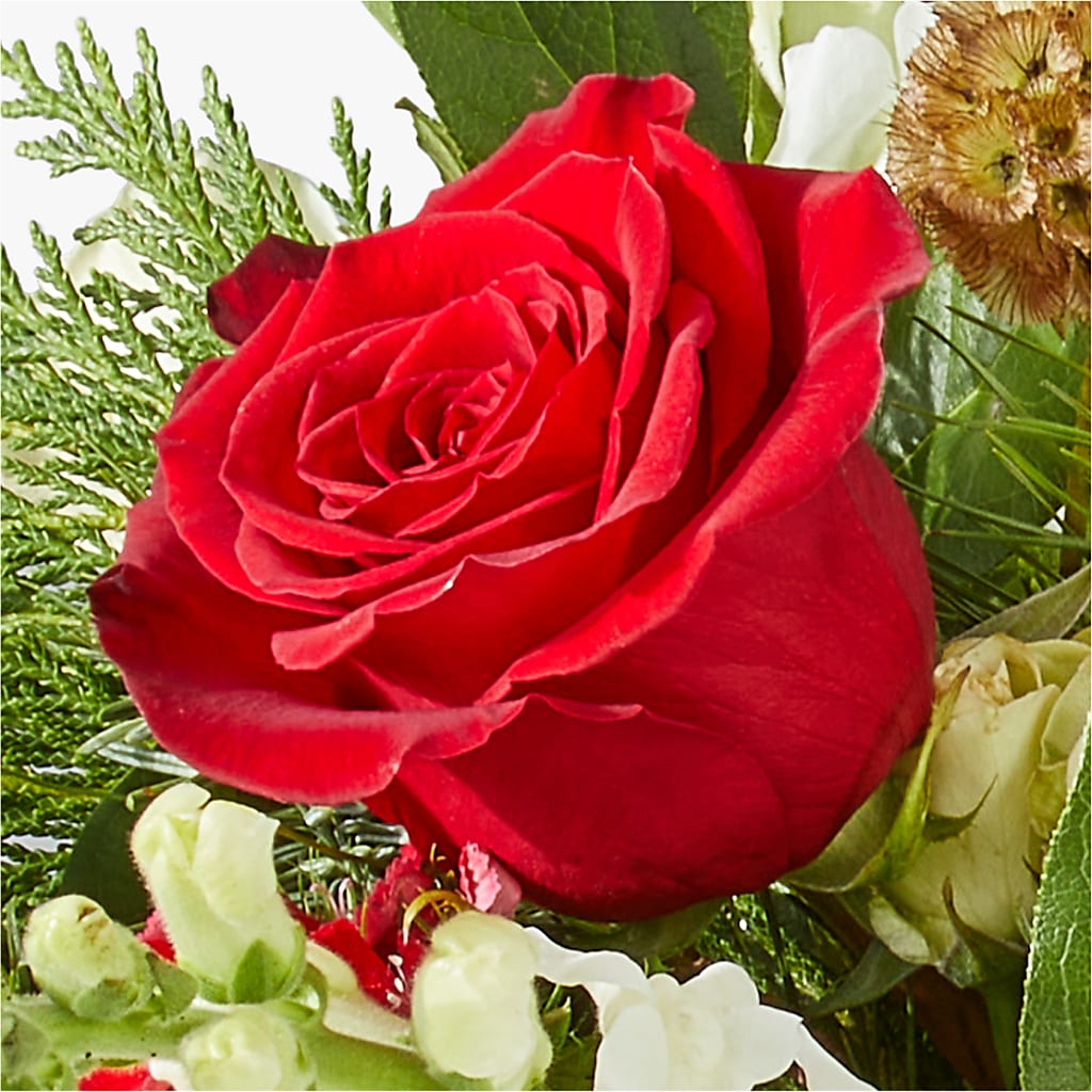 Deck the Halls Bouquet –  Our Flower Shop, Gibsonton FL