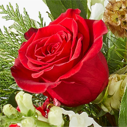 Deck the Halls Bouquet –  Our Flower Shop, Gibsonton FL